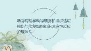 动物病理学 动物细胞和组织适应损伤与修复细胞组织适应性反应护理课件