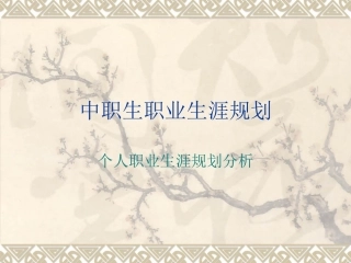 中职生职业生涯规划1