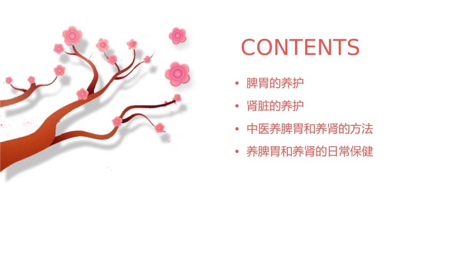 如何养脾胃和养肾护理课件_第2页