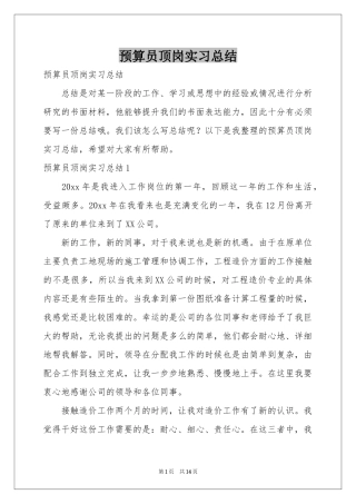 预算员顶岗实习参考总结