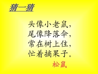 松鼠和松果一下