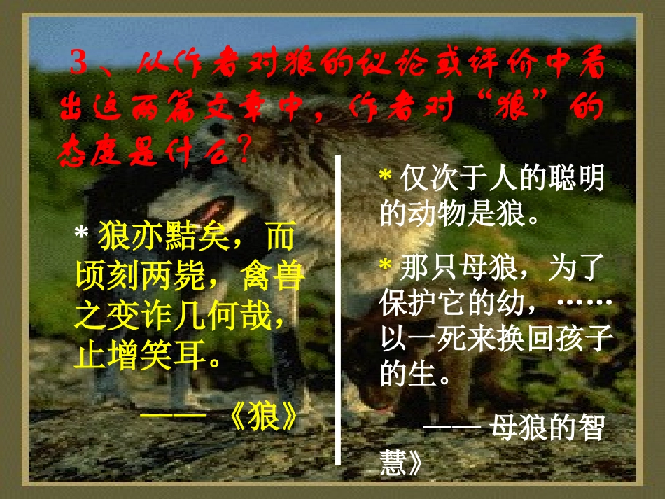 狼专题比较阅读_第3页