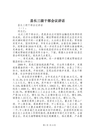 县长三级干部会议讲话发言