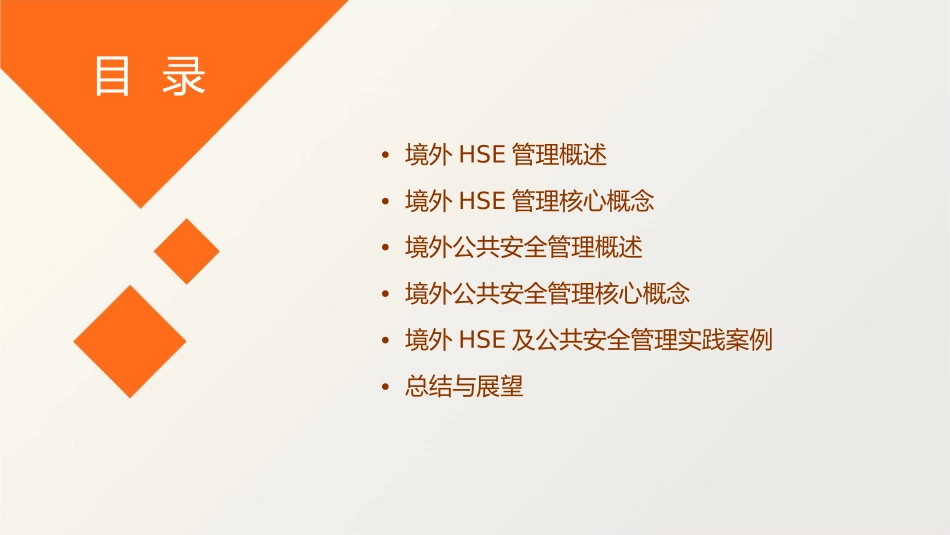 境外HSE及公共安全管理介绍课件_第2页