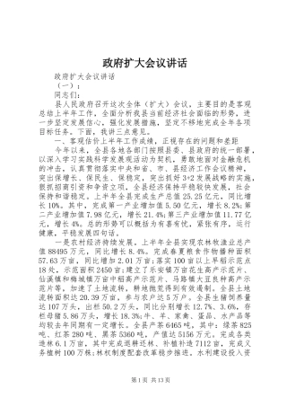 政府扩大会议讲话发言