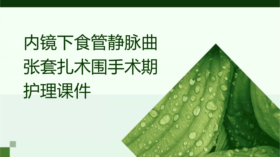 内镜下食管静脉曲张套扎术围手术期护理课件_第1页