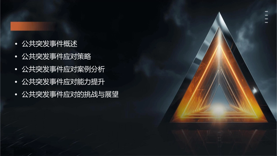 公共突发事件应对策略课件_第2页