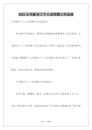 2024公司新员工个人试用期工作总结_1