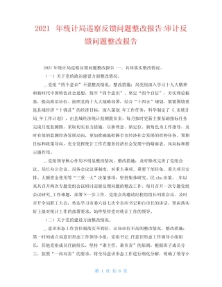2021年统计局巡察反馈问题整改报告-审计反馈问题整改报告
