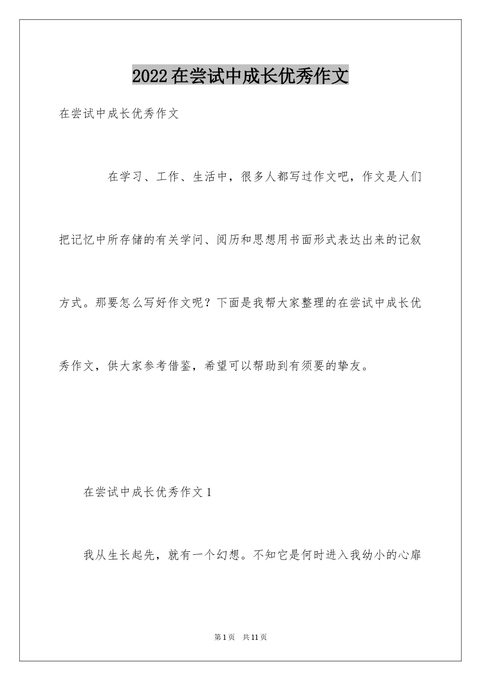 2024在尝试中成长优秀作文_第1页