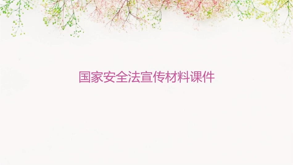 国家安全法宣传材料课件_第1页