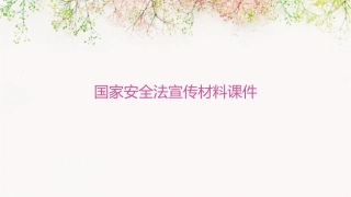 国家安全法宣传材料课件