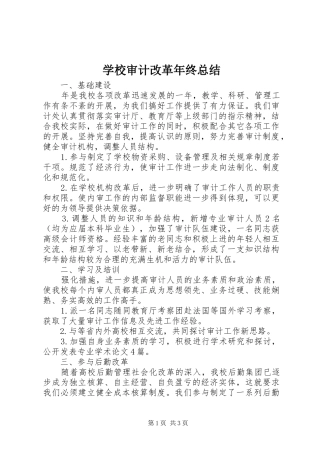 学校审计改革年终总结 