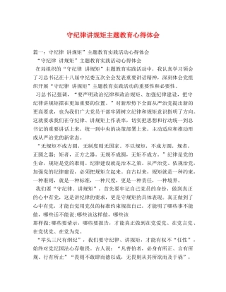 守纪律讲规矩主题教育心得体会 