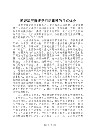 抓好基层营连党组织建设的几点体会