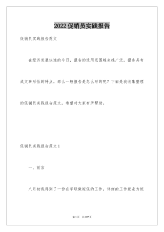 2024促销员实践报告_3