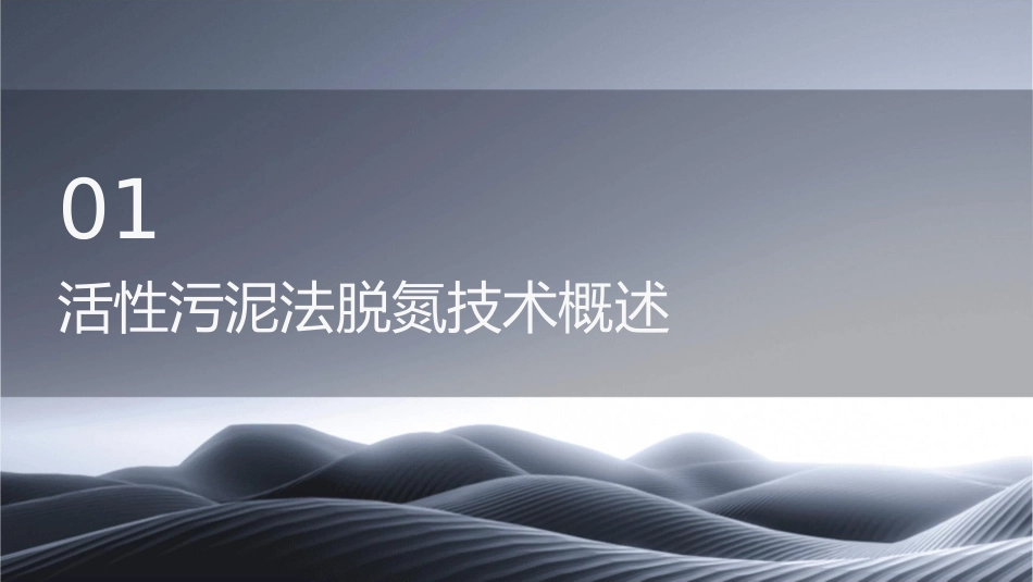 好氧活性污泥法脱氮系统课件_第3页
