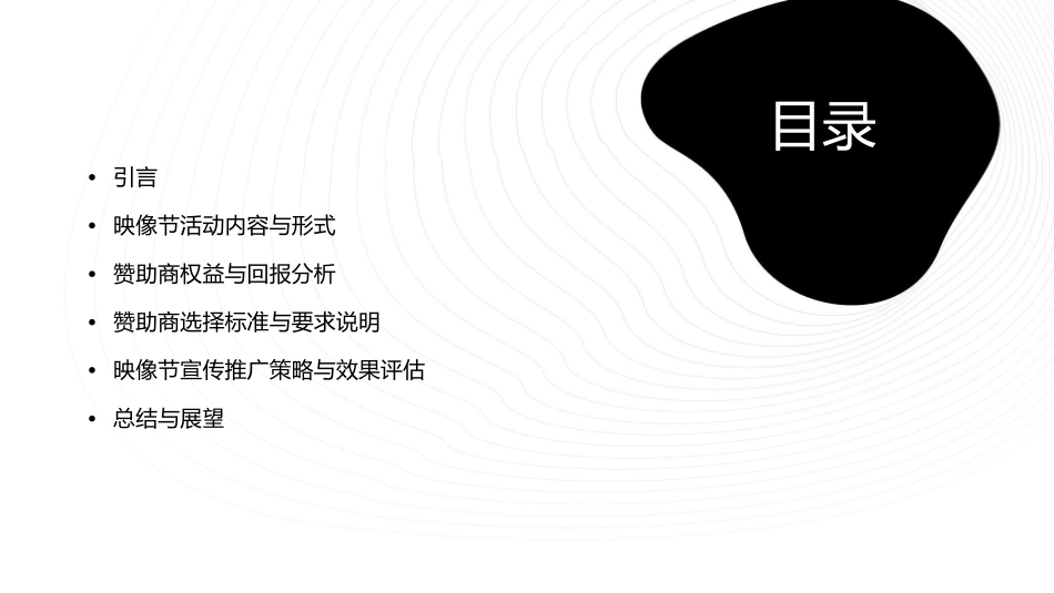 大学生映像节赞助案课件_第2页