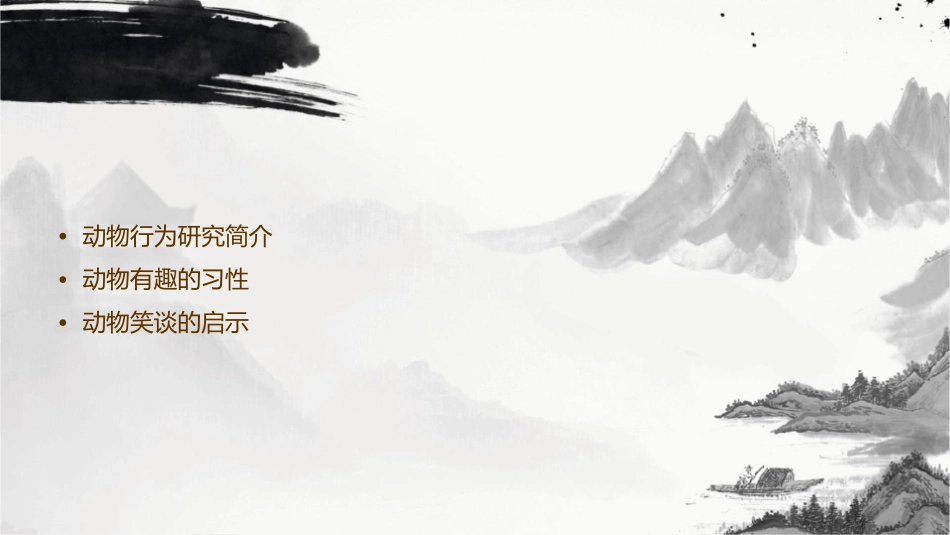 动物笑谈修改版课件_第2页