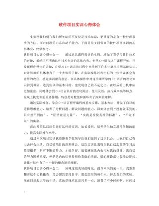 软件项目实训心得体会 