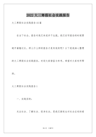 2024大三寒假社会实践报告_6