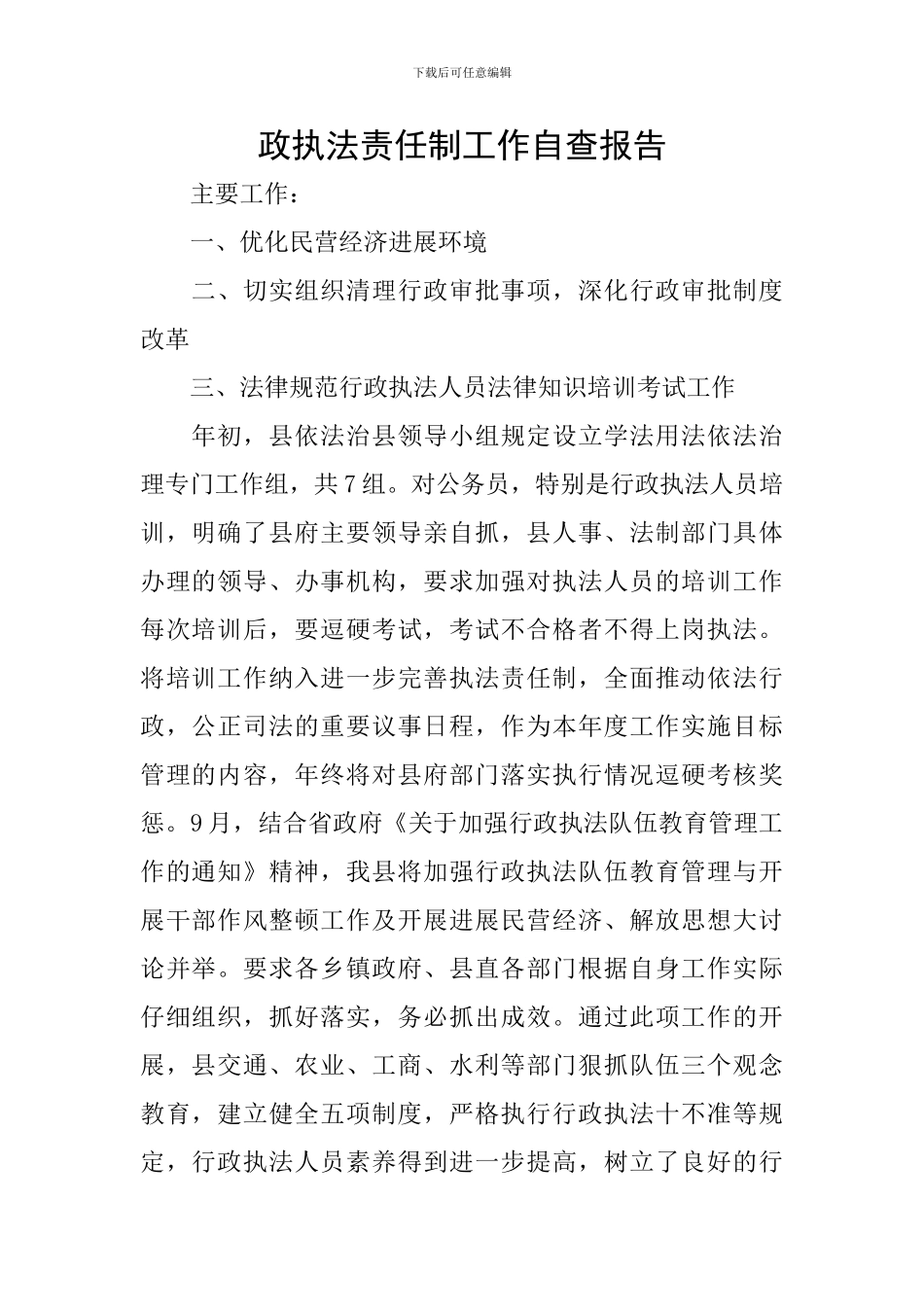 政执法责任制工作自查报告_第1页