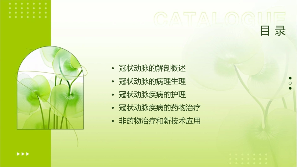 冠状动脉的解剖护理课件_第2页