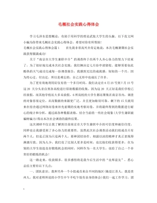 毛概社会实践心得体会 