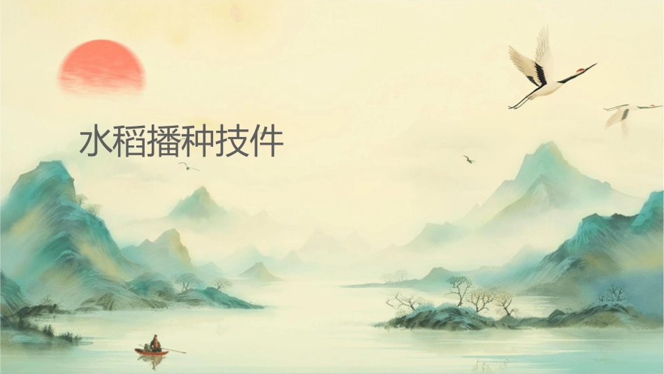 北方水稻生产 水稻育苗的基本过程水稻播种技术护理课件_第1页
