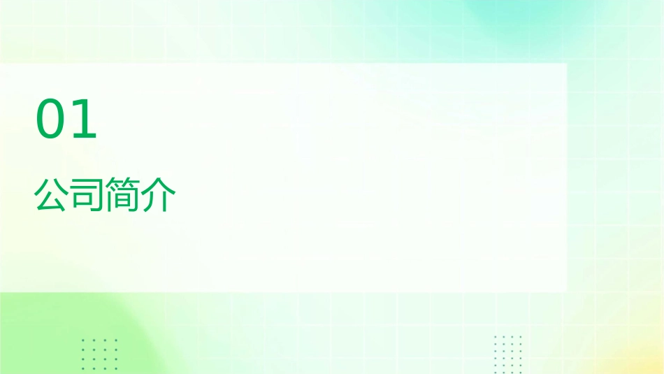 埃威航电战略回顾报告课件_第3页