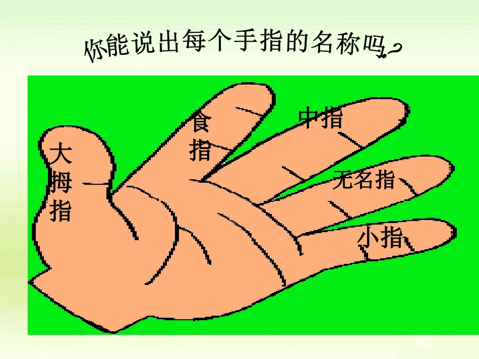 手指PPT课件_第3页