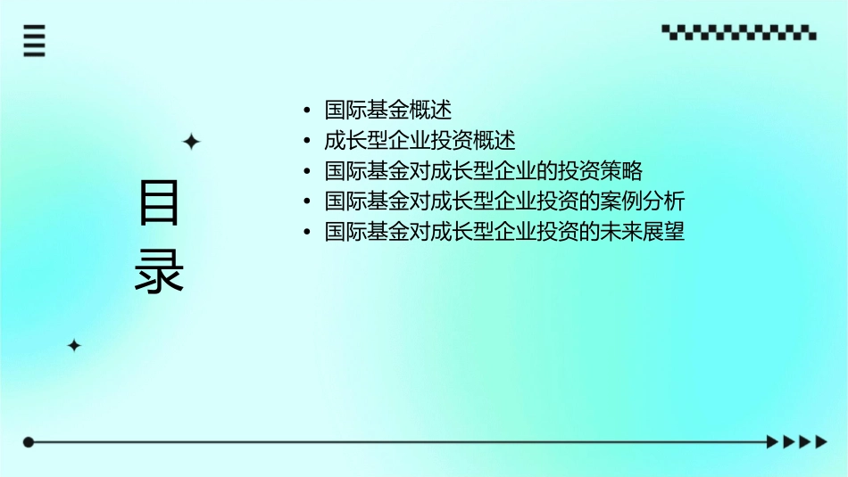 国际基金对成长型企业的投资策略课件_第2页