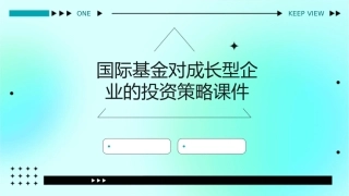 国际基金对成长型企业的投资策略课件
