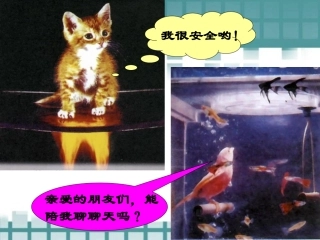 物质的变化和性质 (2)