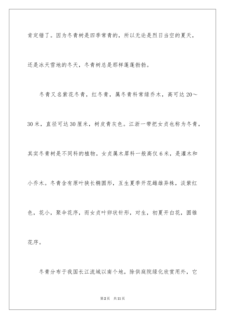 2024冬青作文300字_82_第2页