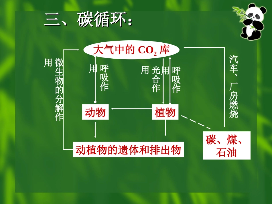 人教版必修三第5章第5节生态系统的稳定性（共53张PPT）_第3页