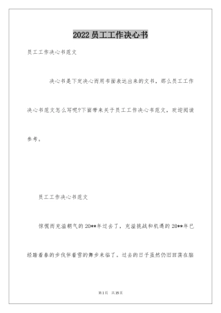 2024员工工作决心书