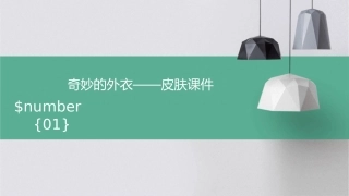 奇妙的外衣——皮肤课件