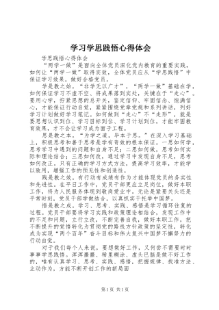 学习学思践悟体会心得
