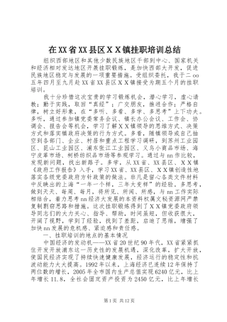 在XX省XX县区ＸＸ镇挂职培训总结 