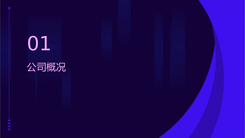 包装印刷有限公司未来年战略规划及实施细则课件_第3页