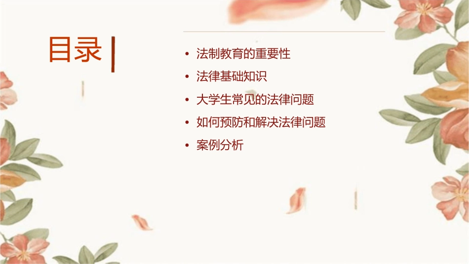 大学新生法制宣传讲座课件_第2页