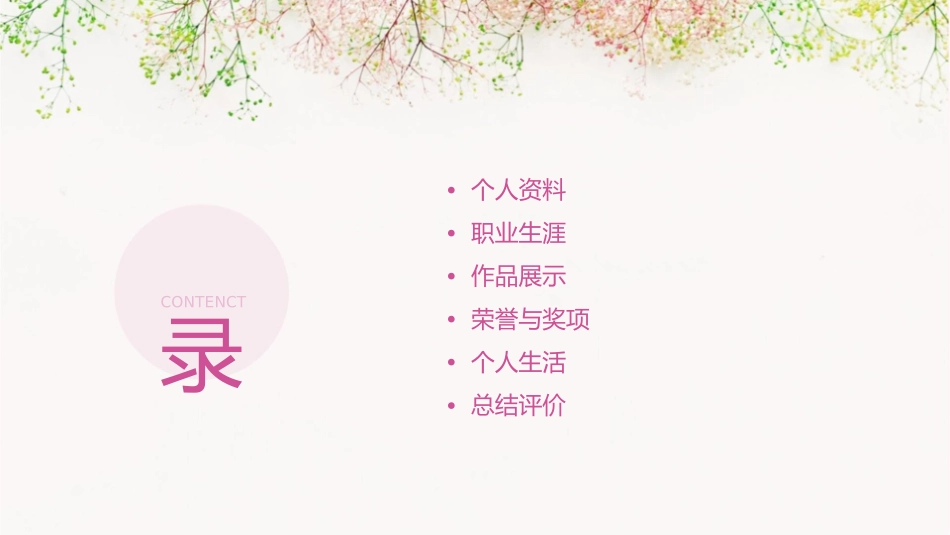 安妮海瑟薇资料课件_第2页