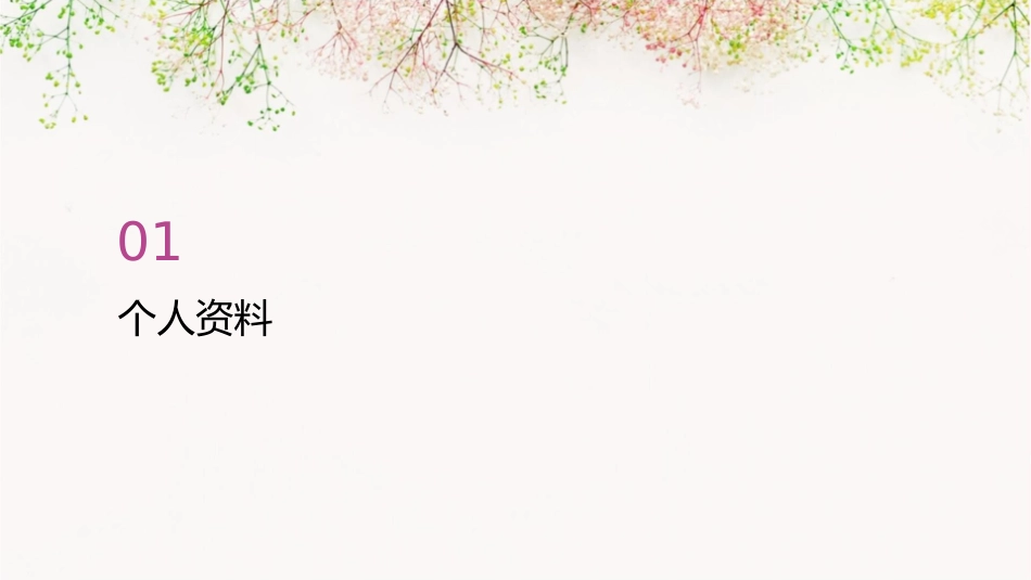 安妮海瑟薇资料课件_第3页