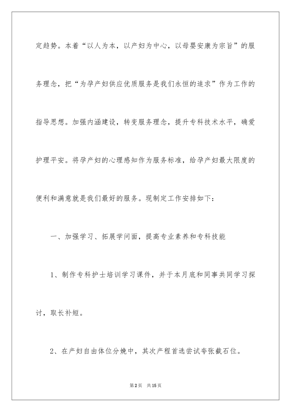 2024产房护理工作计划_3_第2页