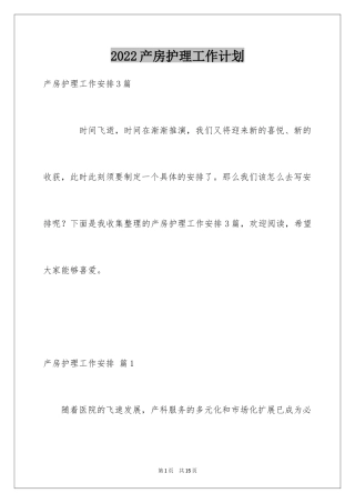 2024产房护理工作计划_3