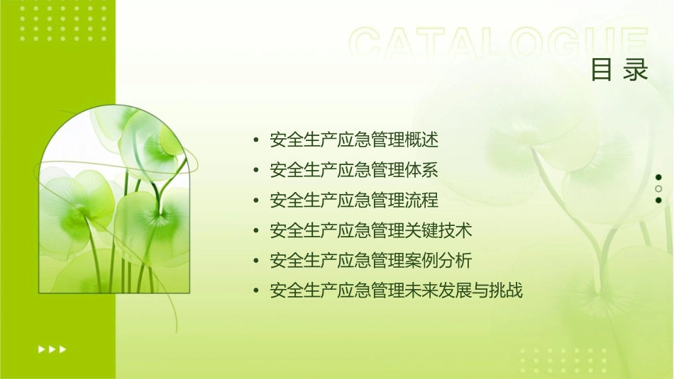 安全生产应急管理课程课件_第2页