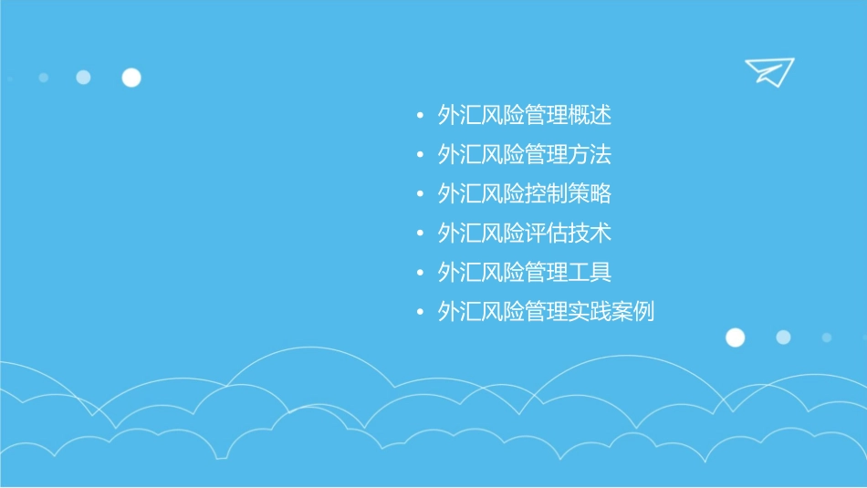 外汇风险管理的基本方法课件_第2页