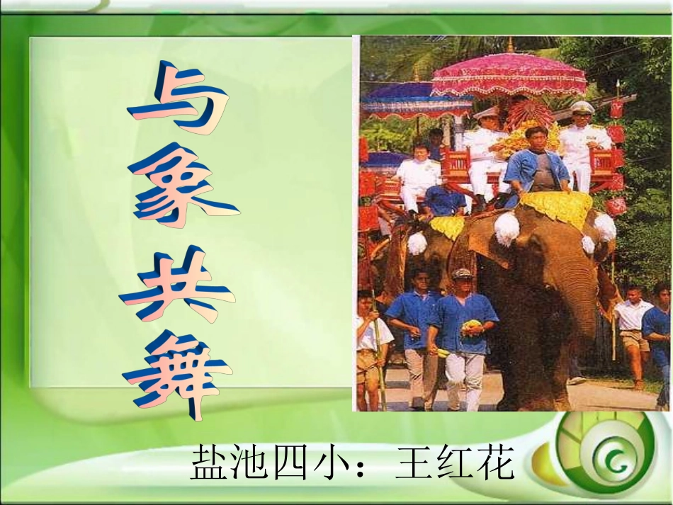 新课标人教版语文五年级下册《与象共舞》课件_第1页