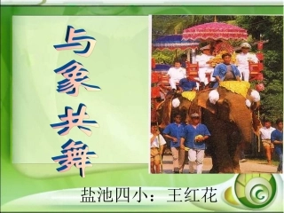 新课标人教版语文五年级下册《与象共舞》课件